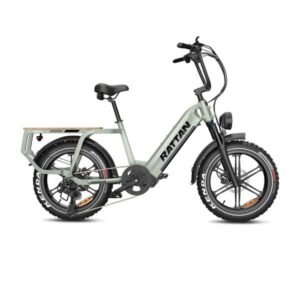 Alternative view of Rattan Quercus Fat Tire 750W 48V Cargo Electric Bike