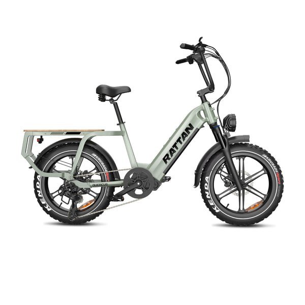 Rattan Quercus Fat Tire 750W 48V Cargo Electric Bike - Image 2