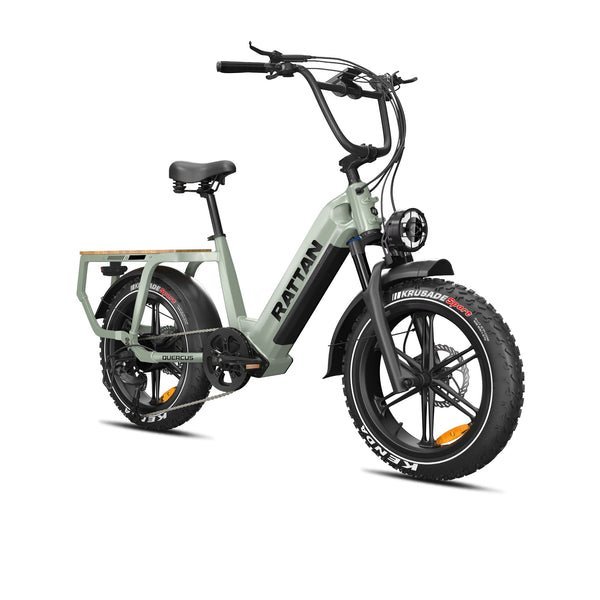 Rattan Quercus Fat Tire 750W 48V Cargo Electric Bike - Image 3