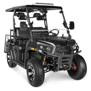 Rover 200 Gas Golf Cart, Electronic Fuel Injection, Automatic with Reverse, Deluxe Alloy Wheels, Windshield Included – Grey