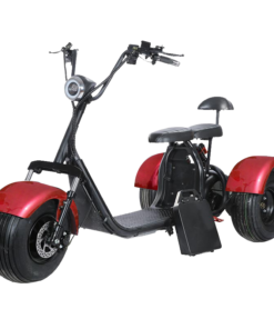 Alternative view of SoverSky T7.0 60V/20Ah 2000W Electric Trike Scooter