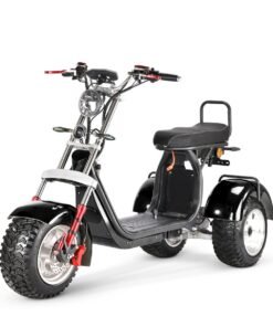 Alternative view of SoverSky T7.4 60V/40Ah 4000W Electric Swing Trike