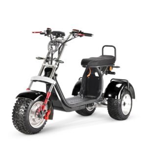 Alternative view of SoverSky T7.4 60V/40Ah 4000W Electric Swing Trike
