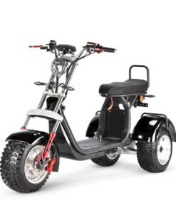 SoverSky T7.4 60V/40Ah 4000W Electric Swing Trike
