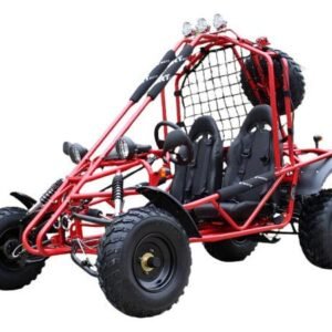 Spider 200 Buggy Go Kart, Electric Start, Automatic with Reverse, 10-inch Steel Wheels, Ages 16 and up – Red