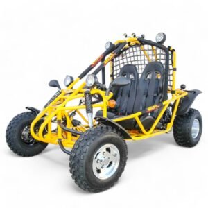 Spider 200 DLX Go-Kart