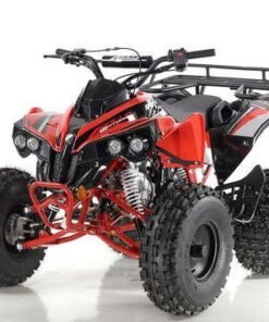 Sport Trax 125cc Sport ATV, Fully-Automatic with Reverse, Ages 12 and up – Red