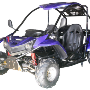 T-REX 125cc Kids Gas Powered Go Kart, Electric Start, Automatic with Reverse, Ages 8 and up – Blue