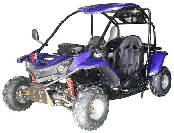 T-REX 125cc Kids Gas Powered Go Kart, Electric Start, Automatic with Reverse, Ages 8 and up – Blue