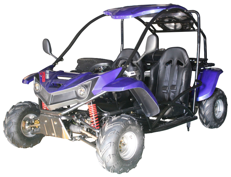 T-REX 125cc Kids Gas Powered Go Kart, Electric Start, Automatic with Reverse, Ages 8 and up – Blue - Image 2