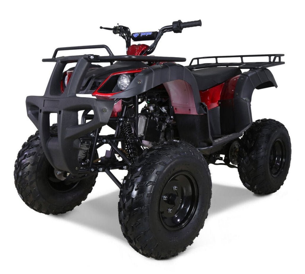 Tao Bull 150cc Utility ATV, Electric Start, Automatic with Reverse, 10-inch Wheels – Blue - Image 2