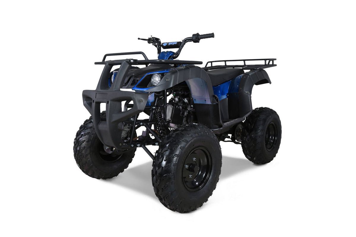 Tao Bull 150cc Utility ATV, Electric Start, Automatic with Reverse, 10-inch Wheels – Blue - Image 4
