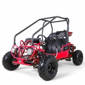 TaoMotor 107cc Kids Go-Kart