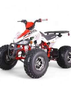 TaoMotor 125 Cheetah DLX Kids ATV
