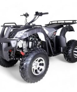 TaoMotor Bull 200 ATV