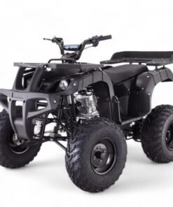 TaoMotor Rhino 250 ATV
