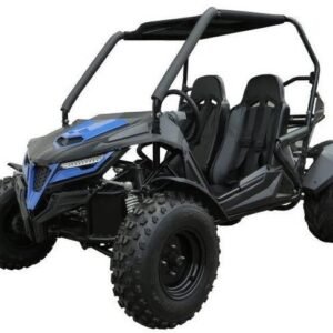 TrailMaster Cheetah 200E EFI Buggy Go Kart, CVT Automatic with Reverse – Blue