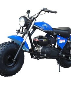 Alternative view of TrailMaster Monster Dog II Mini Bike, 208cc 7.5hp with Torque Converter, Rear Hydraulic Disc Brake – Blue