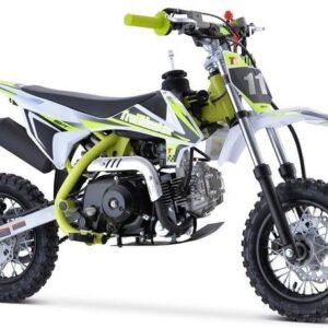 TrailMaster TM10 110cc Dirt Bike 4-Speed Auto Clutch, Dual Disc (10/10), Ages 8-12 – Green