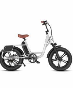 Velowave Prado S 750W 48V Fat Tire Commuter Electric Bike