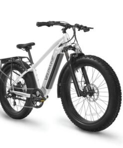Velowave Ranger 2.0 Fat Tire 750W 48V All-Terrain Electric Bike