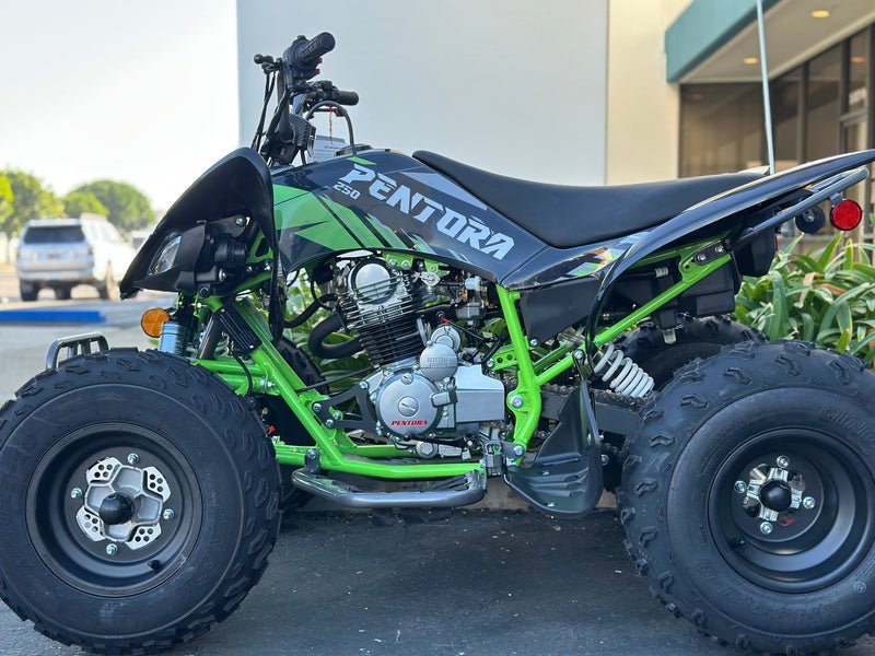 Venom Pentora 250cc | Adult ATV | 4-Speed Manual + Reverse - Image 7